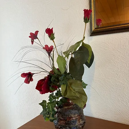 Liva B Bernkastel-Kues