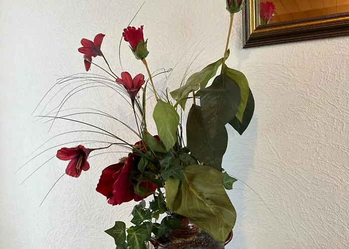 Liva B ベルンカステル・クース